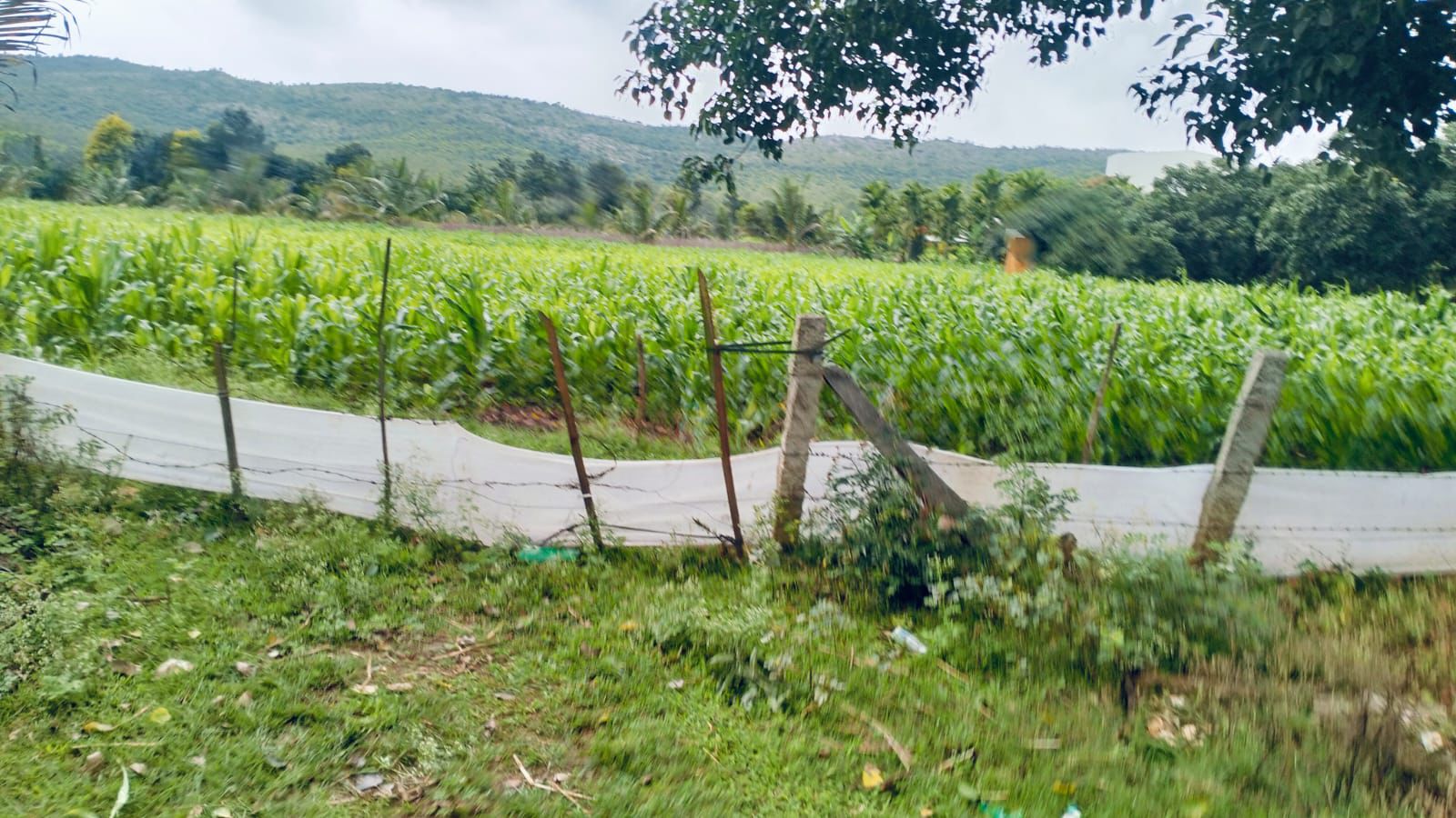 2 Acres Land for Sale